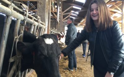 EPI l&rsquo;animal à la Ferme de la Bazinière