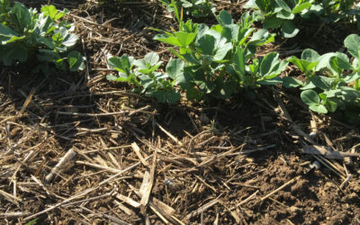 L&rsquo;Agroécologie présentée par Jacky BERLAND au CFA MFR Puy-Sec