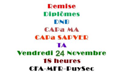 Diplômes DNB – CAP – TA 2017