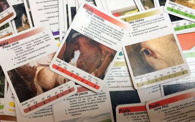 OBSALIM : Comment diagnostiquer les besoins des animaux ?