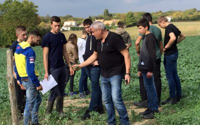Un chantier de semis direct de blé près de la Rochelle