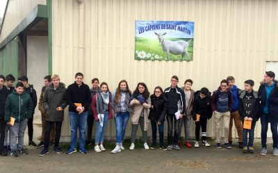 La classe de 4ème au GAEC « Les Caprins »
