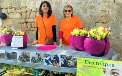 De simples tulipes pour vaincre le cancer