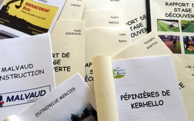 Conduire 3 semaines de « stage découverte » en 4è