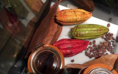 Retour en France pour un chocolat bien mérité !