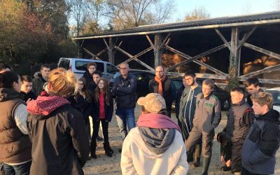 Lorsque les 4e deviennent de vrais maraîchins !