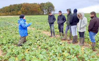 Découverte du GEVES : Groupe d’Etude et de contrôle des Variétés Et des Semences
