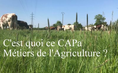Qu’attends-tu ? Rejoins une de nos formations des métiers de l’agriculture