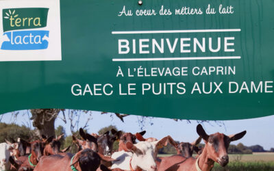 Bienvenue à l&rsquo;élevage caprin GAEC Le Puits aux Dames
