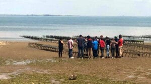 Île de Ré - Les MA découvrent les bassins ostréicoles -MFR PUY SEC-