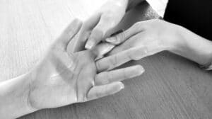 Accompagner autrement, CAPA SAPVER -MFR PUY SEC-