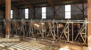 visite EA présentation GAEC Les Gâts - MFR PUY SEC -