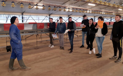 Les techniciens agricoles à la rencontre de Lucie, Les Jolies Rousses