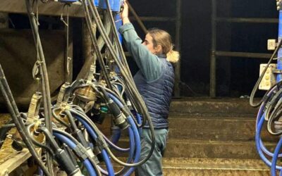 Stage MIP Lait, des jeunes CAPA MA passionnés