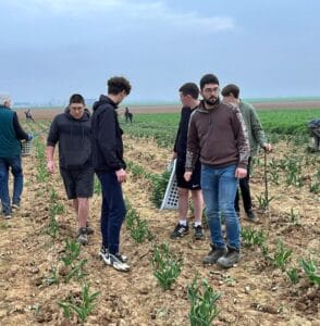 Tulipes contre le cancer -MFR PUY SEC-