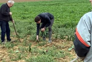 Tulipes contre le cancer -MFR PUY SEC-