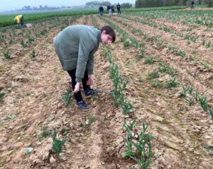 Tulipes contre le cancer -MFR PUY SEC-