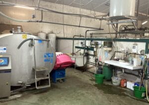 Chèvres-visite-GAEC-Les-Caprins-