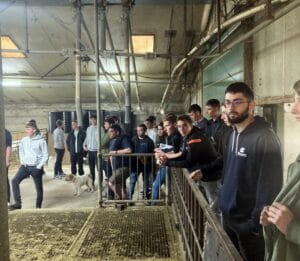 Chèvres-visite-GAEC-Les-Caprins-