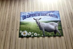 Chèvres-visite-GAEC-Les-Caprins-
