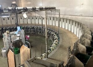 Chèvres-visite-GAEC-Les-Caprins-