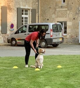 Médiation animale - MFR PUY SEC-