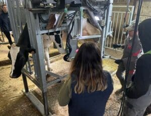 Médiation animale -parage- MFR Puy Sec