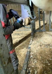 Médiation animale -parage- MFR Puy Sec