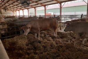 Voyage d'étude technicien Agricole 2023 -MFR PUY SEC-