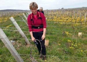 Voyage d'étude technicien Agricole 2023 -MFR PUY SEC-