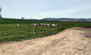 Voyage d'étude technicien Agricole 2023 -MFR PUY SEC-