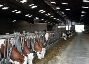 Voyage d'étude technicien Agricole 2023 -MFR PUY SEC-