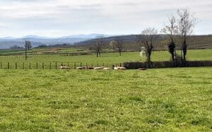 Voyage d'étude technicien Agricole 2023 -MFR PUY SEC-