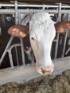 Voyage d'étude technicien Agricole 2023 -MFR PUY SEC-