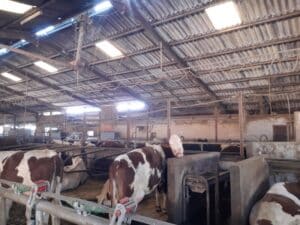 Voyage d'étude technicien Agricole 2023 -MFR PUY SEC-