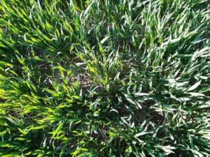 Voyage d'étude technicien Agricole 2023 -MFR PUY SEC-