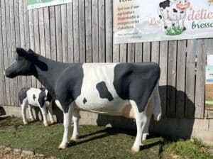 Voyage d'étude technicien Agricole 2023 -MFR PUY SEC-