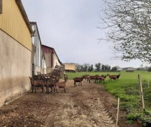 Voyage d'étude technicien Agricole 2023 -MFR PUY SEC-