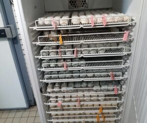 Voyage d'étude technicien Agricole 2023 -MFR PUY SEC-