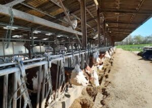Voyage d'étude technicien Agricole 2023 -MFR PUY SEC-