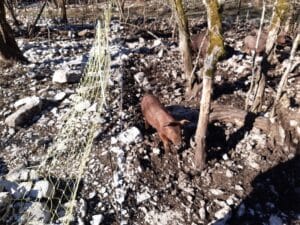 Voyage d'étude technicien Agricole 2023 -MFR PUY SEC-