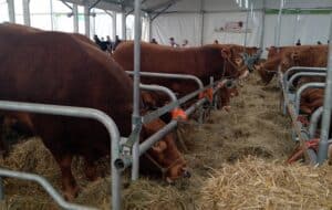 Tech'élevage CAPAMA 1 2023 - MFR PUY SEC-