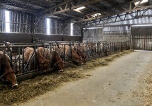 Visite TEA GAEC Guillemet Les Gâts - MFR PUY SEC-
