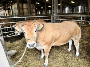 Visite TEA GAEC Guillemet Les Gâts - MFR PUY SEC-