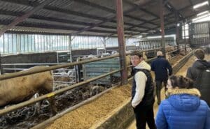 TEA et CAPMA, visite EARL MAUNIC - MFR Puy Sec-