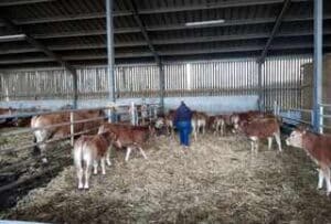 Visite GAEC La Gironaise - MFR Puy Sec-