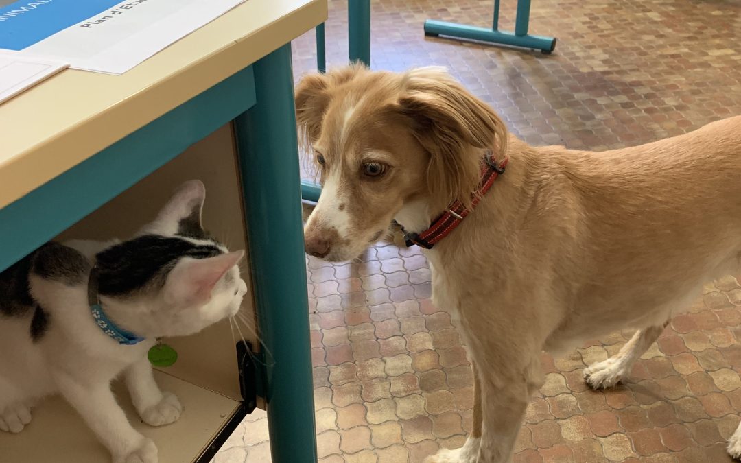 Titus et Indie